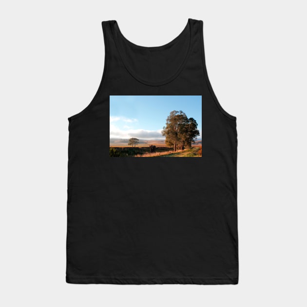 Barossa Valley Autumn Tank Top by jwwallace